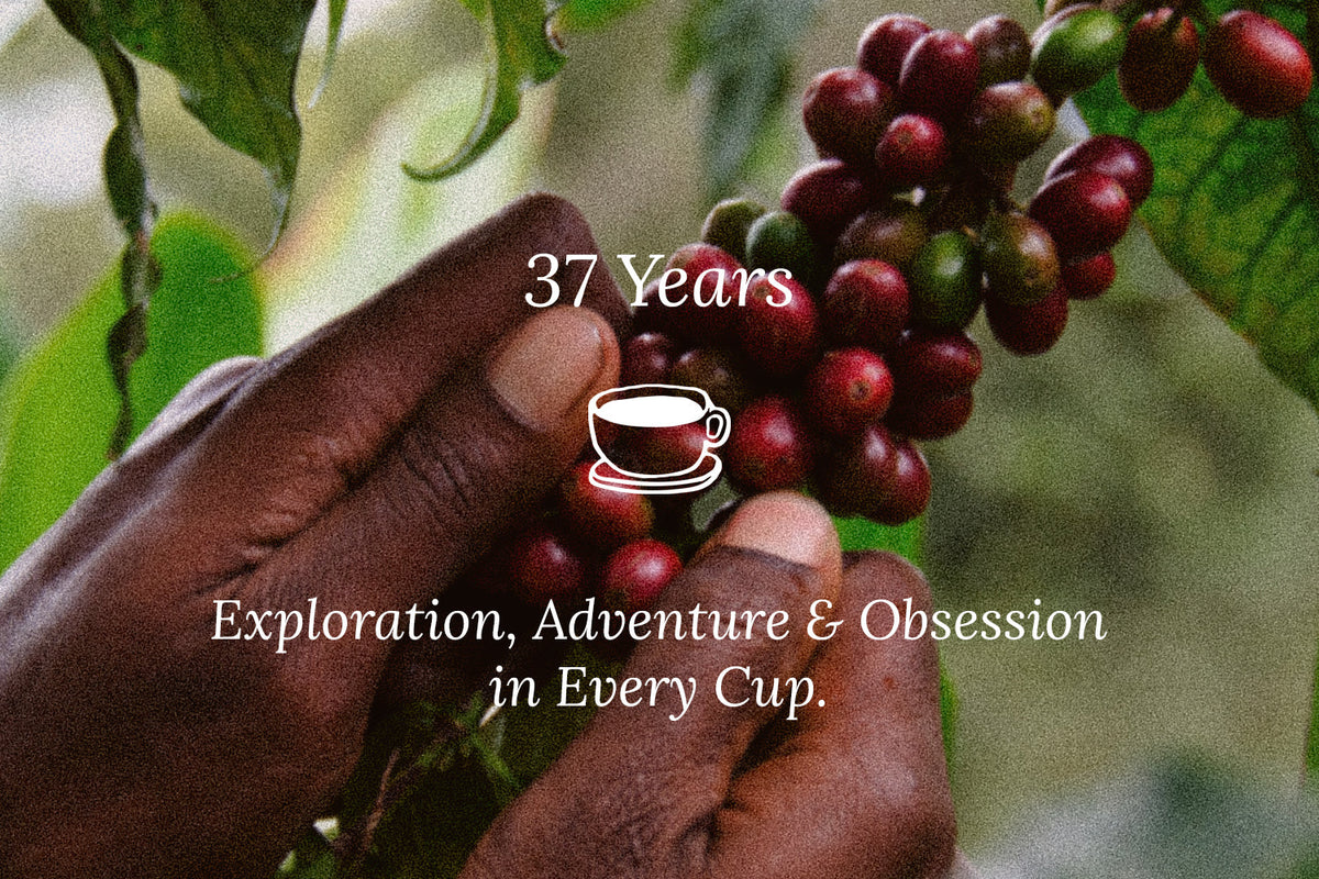 37 Years Of Melbourne Coffee