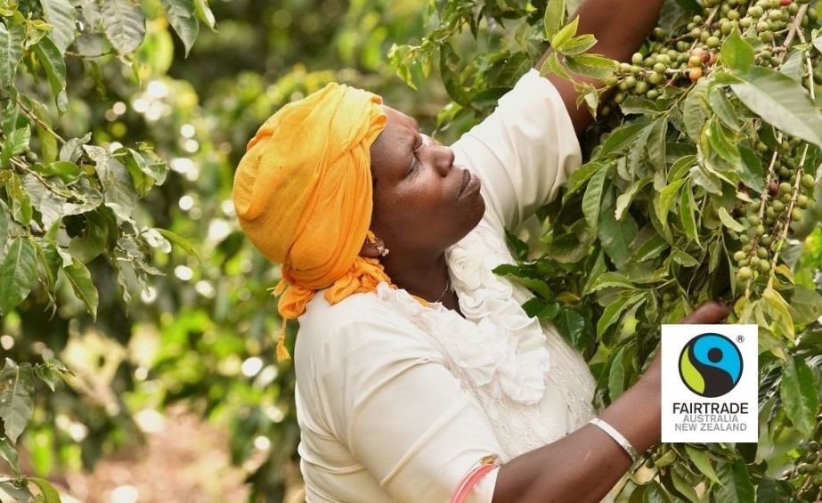 How and why Jasper Coffee became Fairtrade licensed