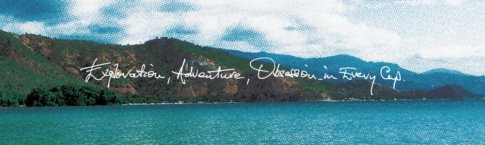 What is happening with rising coffee prices in 2025?