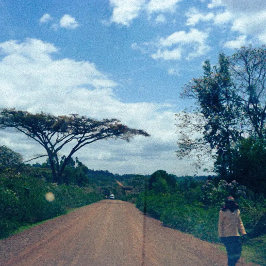 Ethiopia Yirgacheffe Adamegorbota