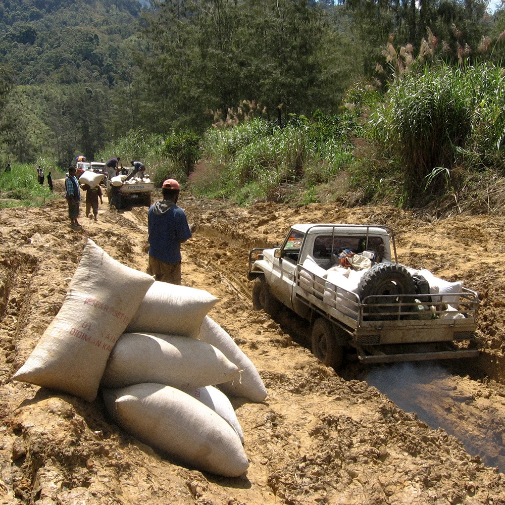 Niugini Okapa