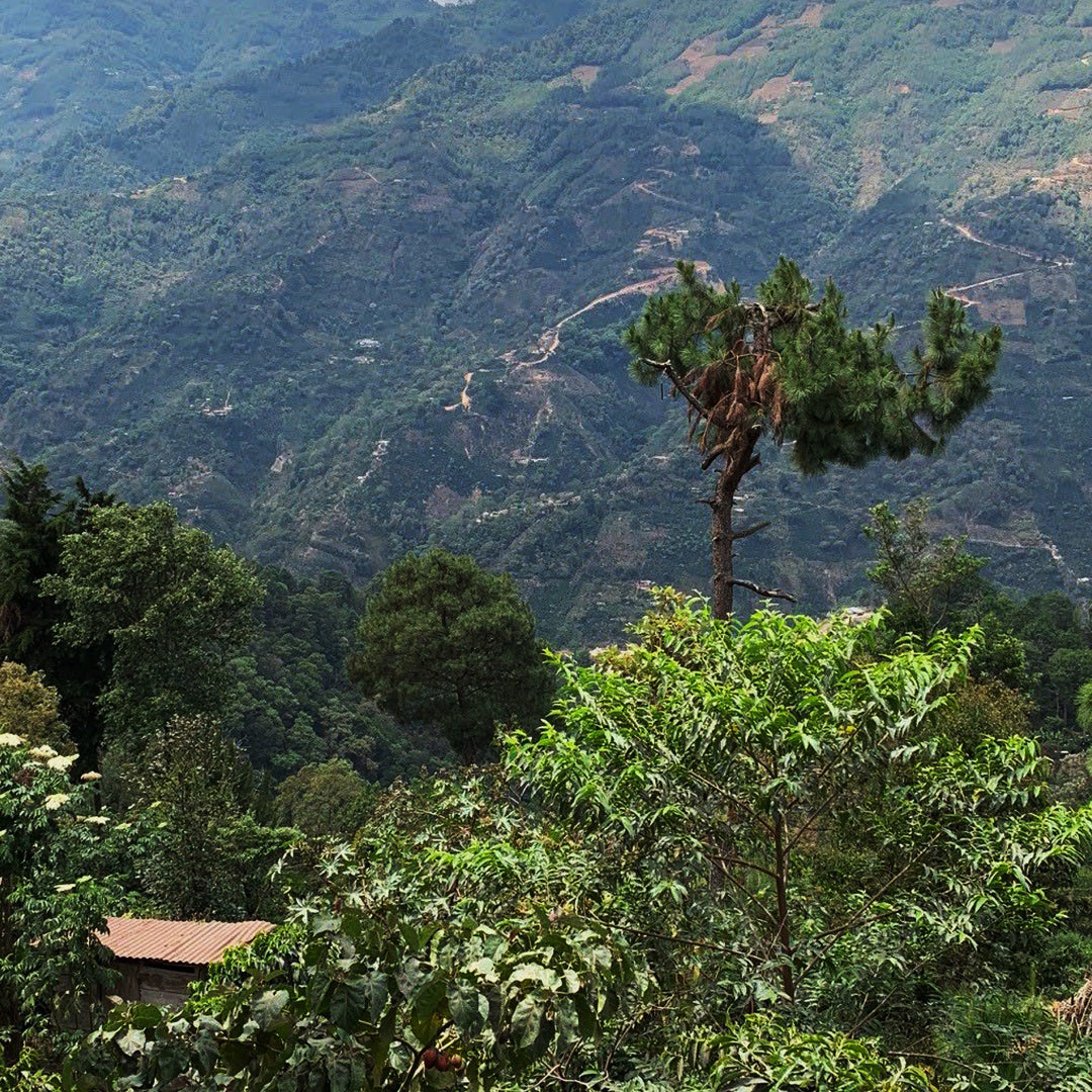 Guatemala Huehuetenango