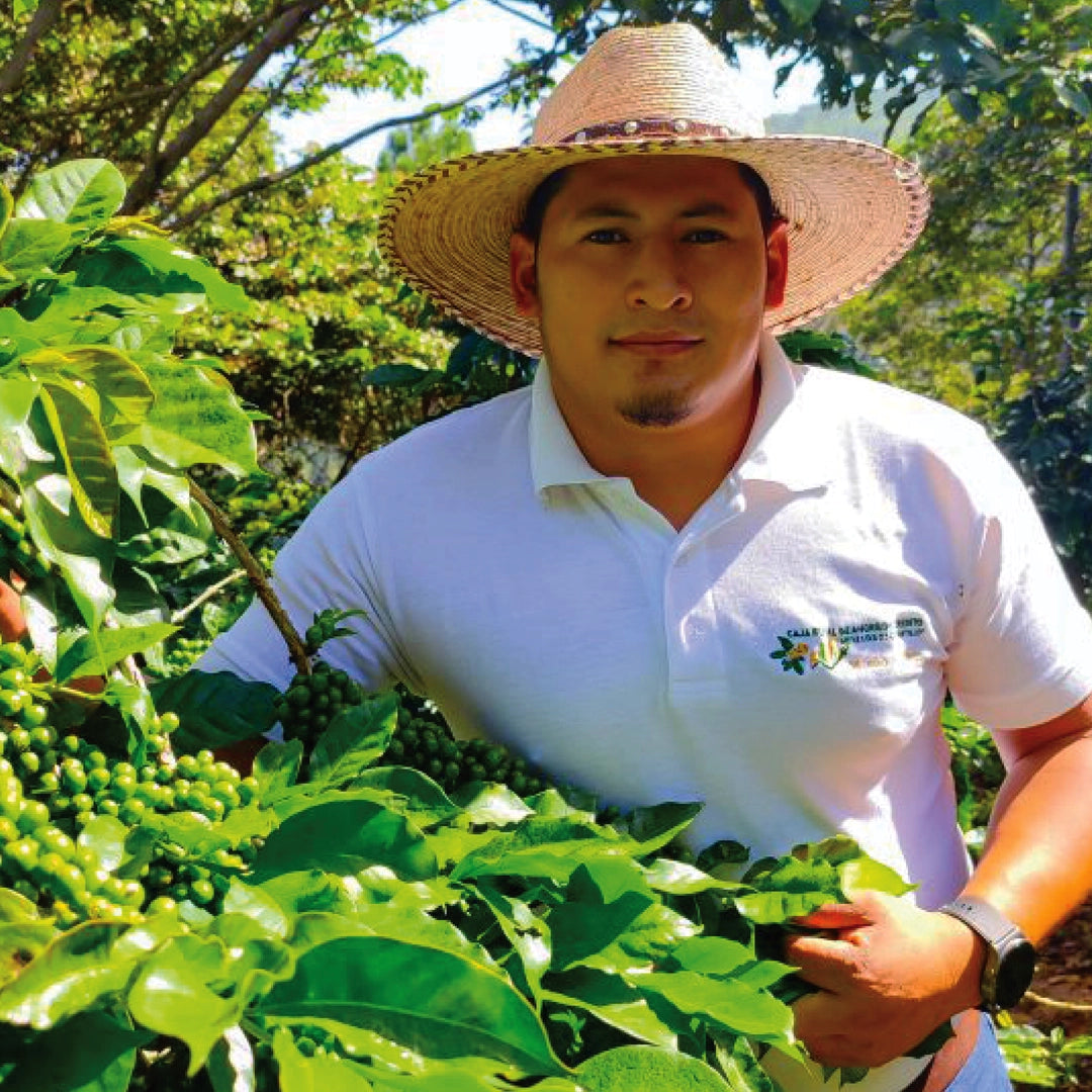 Honduras Anain Cortez
