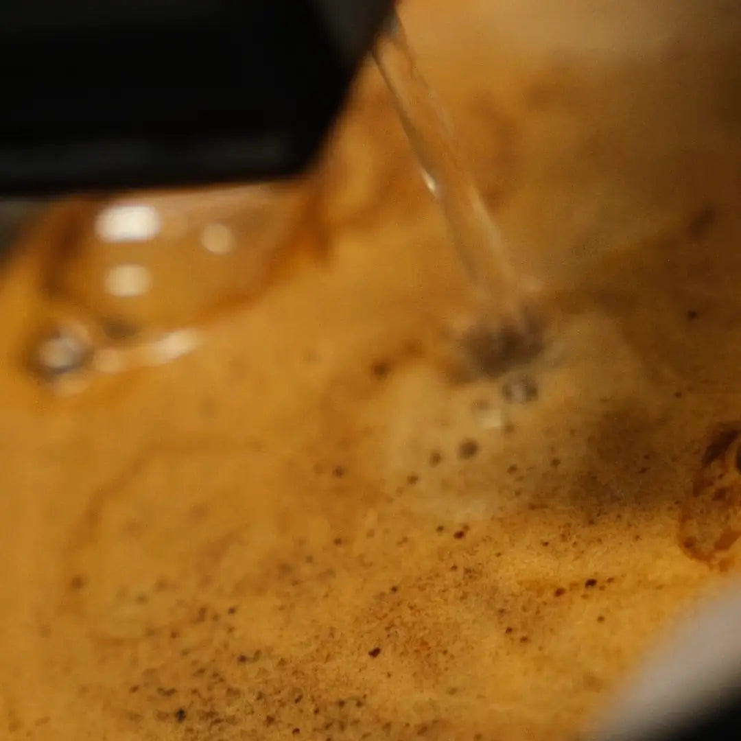 Ethiopia Yirgacheffe Adamegorbota