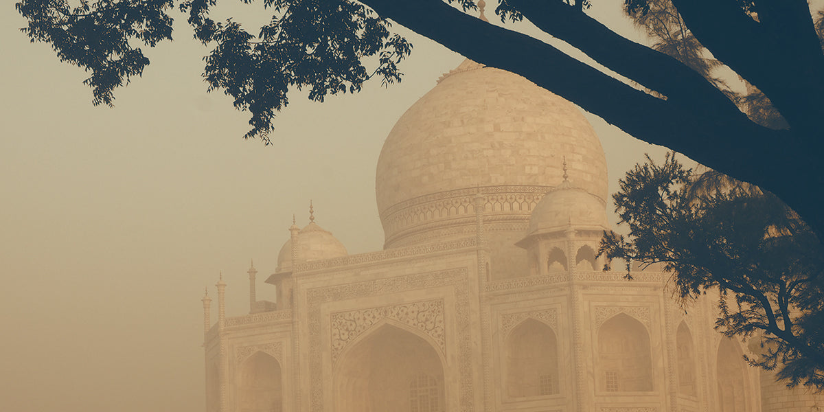 Grange Estate - Shevaroy Hills