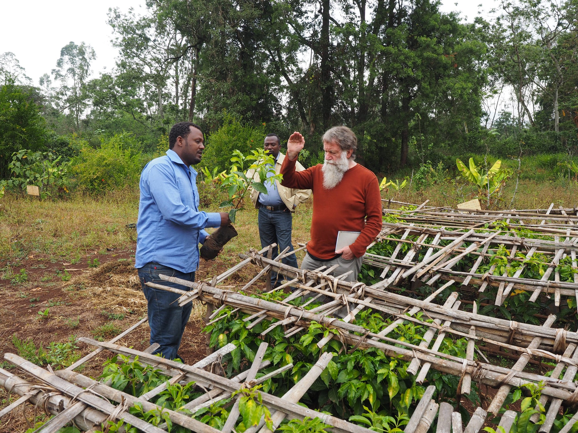 Origin Stories: Fairtrade Cooperatives in Ethiopia
