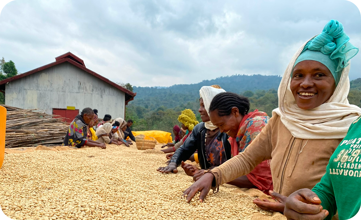 The Guardian says we have the best tasting coffee on supermarket shelves!