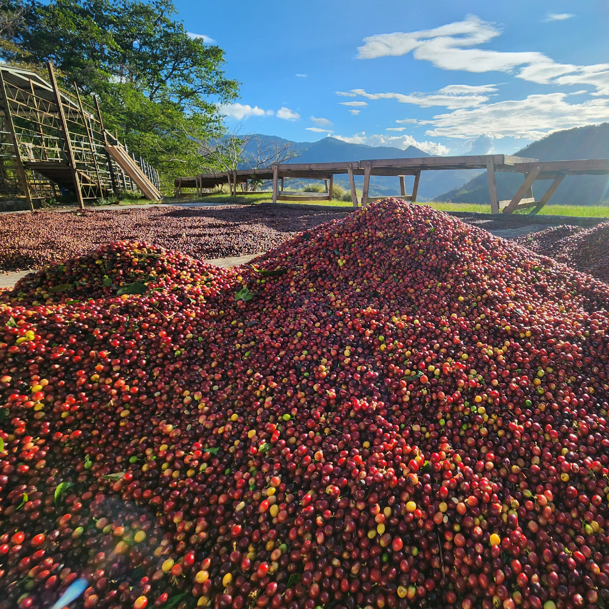 Costa Rica CoopeDota Hermosa