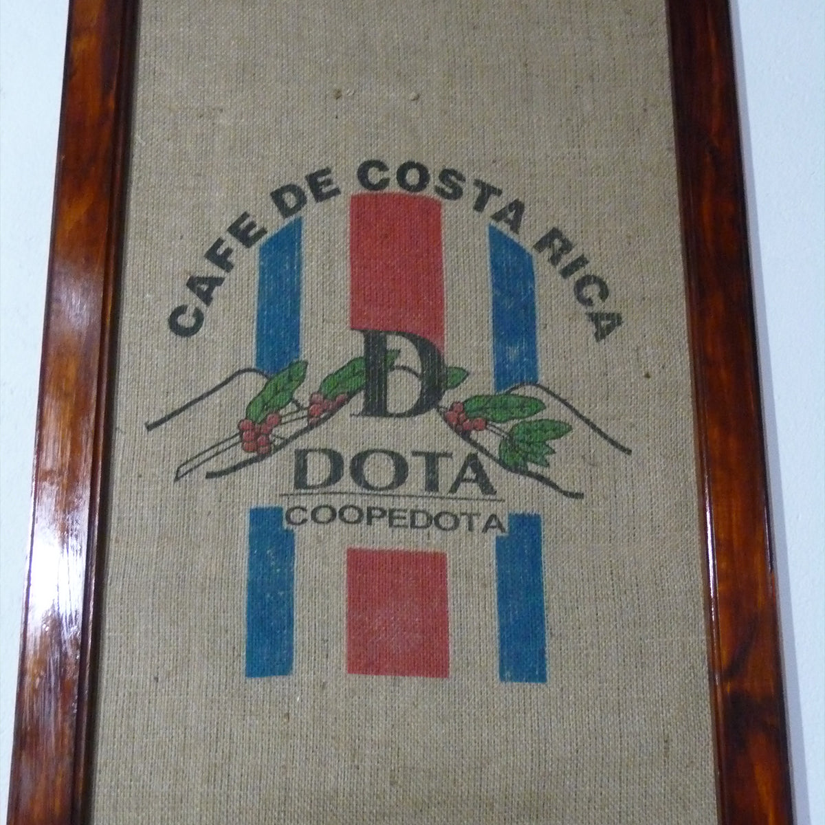 Costa Rica CoopeDota Hermosa