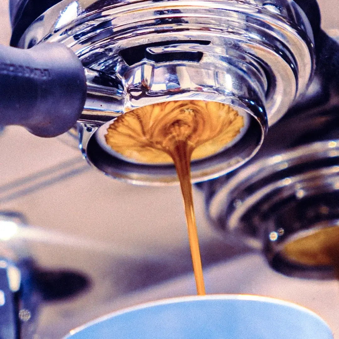 Fairtrade Home Espresso Bundle