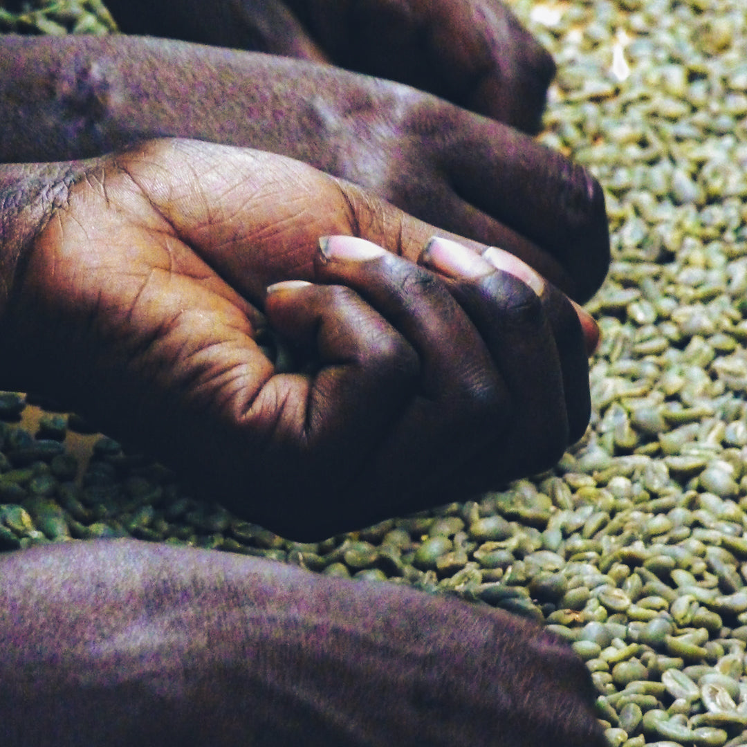 Ethiopia Yirgacheffe