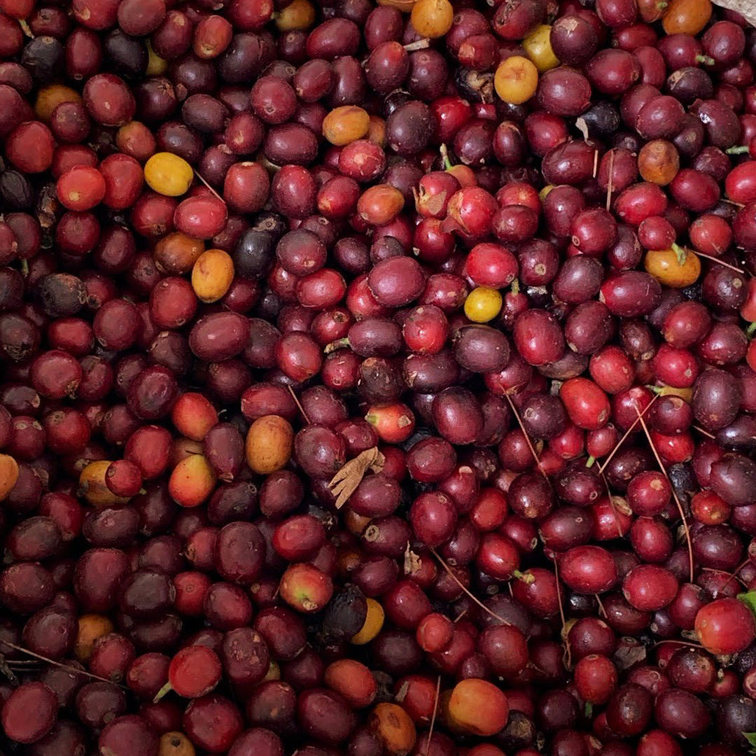 Guatemala Huehuetenango